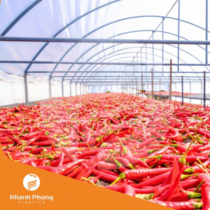 Film de serre professionnel pour le séchage des produits agricoles, garantissant une transmission de la lumière et de la chaleur élevées et une résistance aux UV - Product Image 1