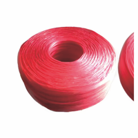 Corde d'emballage, corde de ligature, cordon d'emballage, ficelle en plastique, corde à nouer, corde en nylon, adaptée pour la ligature des crabes ; corde rouge épaisse.