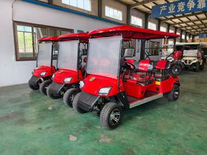 Voiturette de golf électrique certifiée CE, 4 roues, petit véhicule - Product Image 4