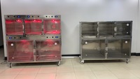 Cages vétérinaires en acier inoxydable EUR VET pour hôpitaux vétérinaires, équipement d'oxygénothérapie, cages de soins intensifs pour chiens et animaux de compagnie