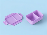 Boîte à lunch rectangulaire en plastique de 1300 ml sans BPA, isolée, 2 compartiments étanches, écologique, de qualité alimentaire, légère et portable