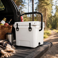 Glacière rotomoulée personnalisée Arctic Series 13L pour pique-nique extrême à la plage, petite glacière isotherme portable en LLDPE
