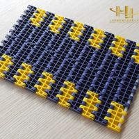 Bande transporteuse modulaire en maille avec surface antiadhésive pour la congélation, le refroidissement et les applications de lignes de transformation des produits de la mer