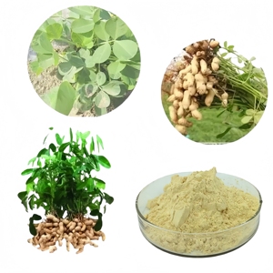 Factory Supply Peanut Shell Extract <strong>Luteolin</strong> 98% - Product Image 2
