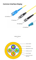 Cordon de brassage fibre optique monomode G652D SC LC FC ST, personnalisable en nombre de fibres et en longueur, pour FTTH et réseaux CCTV