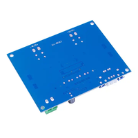 Carte amplificateur audio numérique double canal TPA3116 D2 120W * 2 DC 12V 24V