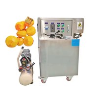 Fruit Professionele Machine Groenteschiller Pellen Strip Machine