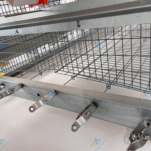 Nuova Gabbia Intelligente Huabang Tipo H per Galline Ovaiole, a 3 o 4 Livelli, per 160 Polli, Gabbia Automatica a Batteria Zincata a Caldo - Product Image 5
