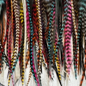 Lông gà trống màu sắc dài mỏng bán buôn dùng cho nối tóc, buộc câu, làm đồ thủ công - Product Image 1