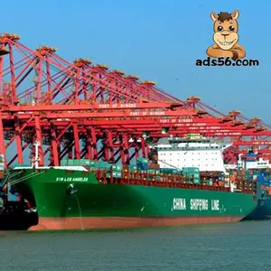 الشحن البحري الشركات وكيل الشحن رخيصة تكلفة الشحن تصدير الواردات من الصين إلى نيجيريا WhatApp 19973285837