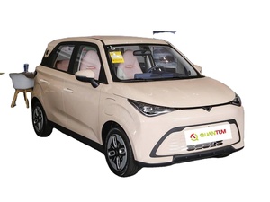 Kaiyi Auto Shiyue 2025 Mate 300km Wave Rider Mini Eléctrico, Conducción Cómoda, Diseño Elegante, Sistema de Infoentretenimiento Inteligente, Ideal para la Ciudad - Product Image 1