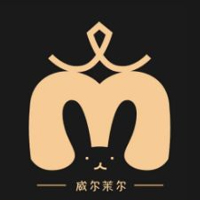 Shaoxing Disen Textile Co., Ltd. logo