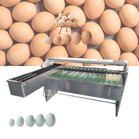 Machine de tri des œufs à 5 niveaux pour cailles, canards, poulets, œufs frais/salés, machine de tri des œufs par poids, machine de classement des œufs