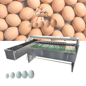 Máquina Clasificadora <span class=keywords><strong>de</strong></span> <span class=keywords><strong>Huevos</strong></span> <span class=keywords><strong>de</strong></span> Codorniz, Pato y Pollo <span class=keywords><strong>de</strong></span> 5 Niveles, Máquina Clasificadora <span class=keywords><strong>de</strong></span> <span class=keywords><strong>Huevos</strong></span> <span class=keywords><strong>Frescos</strong></span>/Salados y Conservados, Máquina Clasificadora <span class=keywords><strong>de</strong></span> <span class=keywords><strong>Huevos</strong></span> por Peso - Product Image 1