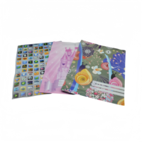 Protège-cahiers PVC personnalisés B5 A4 pour étudiants, plats avec pochette, finition brillante/mate/givrée, imprimés offset – Vente en gros