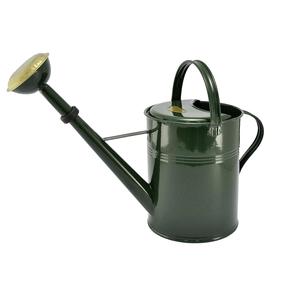 Regadera Kovotvar de 9 L, Verde, de Latón, para Jardín de Rosas - Product Image 1