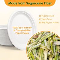 Ensemble de vaisselle carrée jetable réutilisable biodégradable écologique de 12 pouces en bagasse de canne à sucre pour les fêtes et le camping
