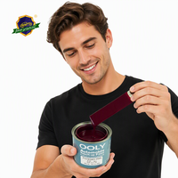 Fournisseur d'usine Accessoires de peinture automobile Prix avantageux Peinture automobile Peinture de retouche pour voitures 2k-26 Rouge violet