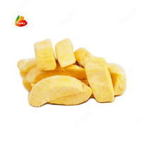 Gedroogd Fruit Gevriesdroogde Mangoplak Knapperige Snacks Gevriesdroogde Mangokubussen