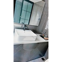Casa Cápsula Modular de Acero Ligero de Lujo, Completamente Amueblada, Prefabricada Futurista, con Cocina, Dormitorio y Baño Inteligentes y Móviles