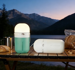 Lampe LED à eau salée en forme de capsule, super légère, sans batterie, vente en gros d'usine - Product Image 4