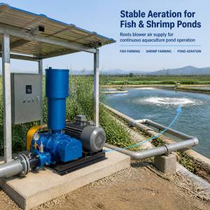 Souffleur Roots 0,75 kW-250 kW pour l'aération des étangs <span class=keywords><strong>d</strong></span>'aquaculture (poissons et crevettes) et l'apport <span class=keywords><strong>d</strong></span>'oxygène - Product Image 5
