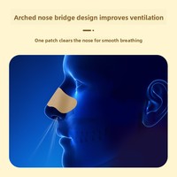 Patchs de Soulagement Nasal à l'Artemisia Chinoise pour Nez Sec et Bouché – 12 Patchs par Boîte – Vente en Gros pour Usage Domestique
