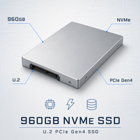 SSD NVMe U.2 PCIe Gen4 960 Go pour serveur d'entreprise, stockage de centre de données, virtualisation, serveur de base de données