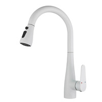Robinet moderne monotrou en acier inoxydable avec design Requin volant et cascade de pluie pour évier de cuisine et bac à légumes - Vente en gros