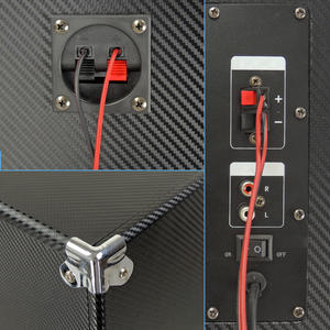 Enceintes de scène 2.0 de 10 pouces, vente chaude, W-<span class=keywords><strong>145</strong></span>, égaliseur RGB/USB/SD/radio FM/télécommande, microphone sans fil intégré - karaoké portable, home cinéma - Product Image 5