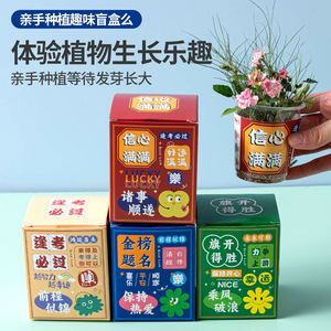 Exhibición de Nuevas Mini Plantas en Maceta Creativas, Caja Sorpresa Inspiradora, Semillas de Flores para Cultivo Interior de Escritorio, Diseño de Dibujos Animados - Product Image 2