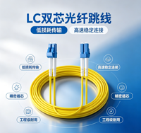 Câble de raccordement fibre optique Ipolex LC vers LC 1G/10GB OS2 Duplex 9/125µm LSZH SMF pour transceiver SFP/SFP+ 2 mètres 1 pièce