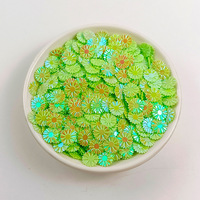 Paillettes opaques Daisy en vrac pour nail art, slime, boue cristalline, matériaux amusants à presser pour DIY et fabrication artisanale, vente en gros directe usine