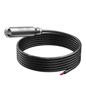 Sensor de Nivel Sumergible de Acero Inoxidable 4-20mA 0-10V RS485, Transductor de Nivel de Agua de 1m-10m - Product Image 2