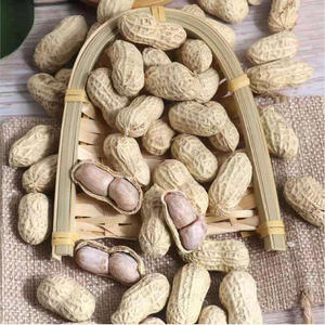 Promotional Various <strong>Good</strong> <strong>Quality</strong> <strong>in</strong> <strong>Shell</strong> <strong>Peanut</strong> Bulk <strong>Peanuts</strong> <strong>in</strong> <strong>Shell</strong> Chinese Cheapest <strong>Peanut</strong> <strong>in</strong> <strong>Shell</strong> - Product Image 5