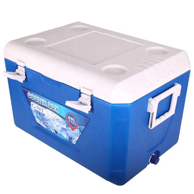 Refrigerador de viagem compacto portátil 50l, 12v caixa aquecedor geladeira carro