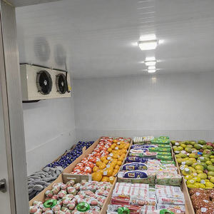 Promenade industrielle de bon congélateur des prix de chambre froide d'effet de refroidissement fort dans la chambre froide menée pour le stockage - Product Image 4