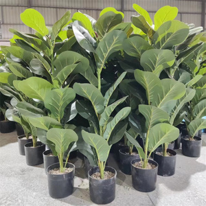 Trang Trí Nội Thất Tốt Nhất 6 Foot Gần Như Tự Nhiên <span class=keywords><strong>Faux</strong></span> Nhỏ Chậu Cây Lyrata Xanh Cây Cảnh Nhân Tạo Fiddle Leaf Fiddle Cây Vả - Product Image 4