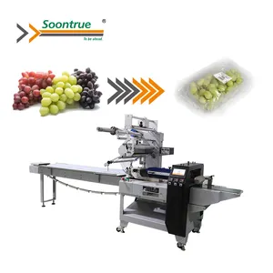 automatic frozen cake plastic tray pillow bag packaging machine for soontrue