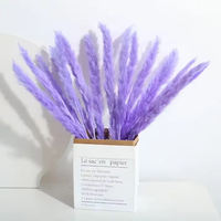 Petit Bouquet d'Herbe de la Pampa Naturelle, Décoration Fleurs Séchées pour Maison Minimaliste, Décoration Moderne & Arrangements de Mariage