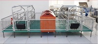 Cage de mise bas pour porcs de haute qualité fabriquée en Chine, enclos de mise bas pour truies anti-écrasement avec plancher à lattes