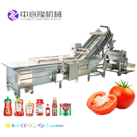 Industriële Kleine Complete Hele Fruit Tomatensauspasta Ketchup Geconcentreerde Ketel Verpakkingsmachine Productie Verwerkingslijn