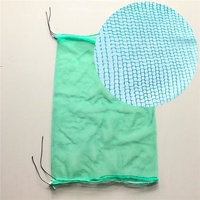 100% Kantong Jala Palem Tanggal Hijau Virgin PE 80X100 MM 70X90 MM