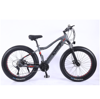 Nouveau design, livraison rapide, cadre en alliage d'aluminium, 21 vitesses, frein à disque, vélo de route électrique 48V, Fat Bike pour adulte