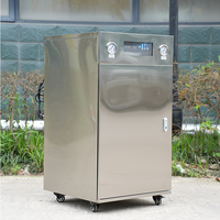 Système d'osmose inverse RO en acier inoxydable 250LPH 500LPH, installation de traitement d'eau industrielle, eau potable pure avec pompe PLC