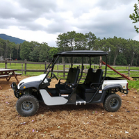 Lvcci Meilleur côte à côte 4 places Dune Buggy essence électrique Transmission automatique Type certifié CEE