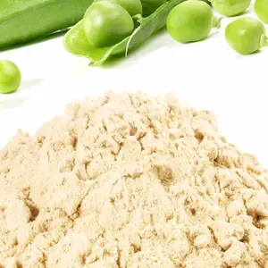 热销食品级非转基因豌豆分离蛋白80% 85%