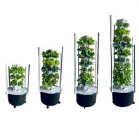 Tour de culture hydroponique verticale à 24 à 60 trous pour ananas, système sans sol économe en énergie pour fraises et tomates