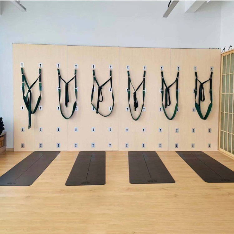 CE Factory Pilates Yoga Wall Accessories