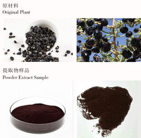 Longze Goji-extract, zwart, wateroplosbaar, anthocyanidinen 1-25%